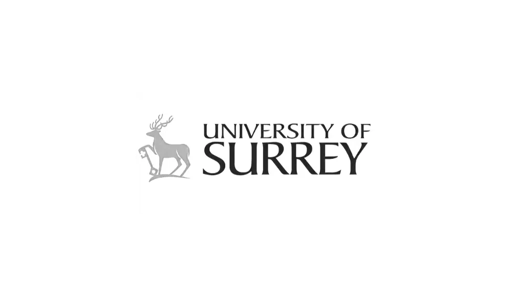 Uni Of Surrey